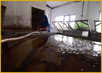 Miami Gardens Restoration Expert Miami Gardens, FL 786-349-3023 - city-page-flood