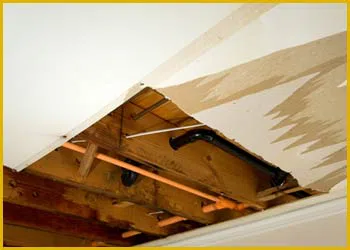Miami Gardens Restoration Expert Miami Gardens, FL 786-349-3023 Miami Gardens Restoration Expert Miami Gardens, FL 786-349-3023