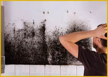 Miami Gardens Restoration Expert Miami Gardens, FL 786-349-3023