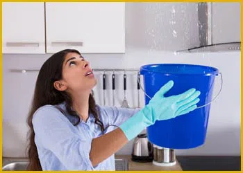 Miami Gardens Restoration Expert Miami Gardens, FL 786-349-3023