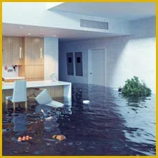 Miami Gardens Restoration Expert Miami Gardens, FL 786-349-3023 Miami Gardens Restoration Expert Miami Gardens, FL 786-349-3023
