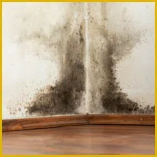 Miami Gardens Restoration Expert Miami Gardens, FL 786-349-3023