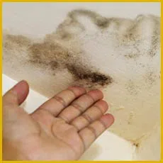 Miami Gardens Restoration Expert Miami Gardens, FL 786-349-3023