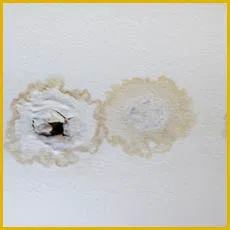 Miami Gardens Restoration Expert Miami Gardens, FL 786-349-3023